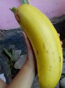 大香蕉在线观看网站,热门影视资源一网打尽